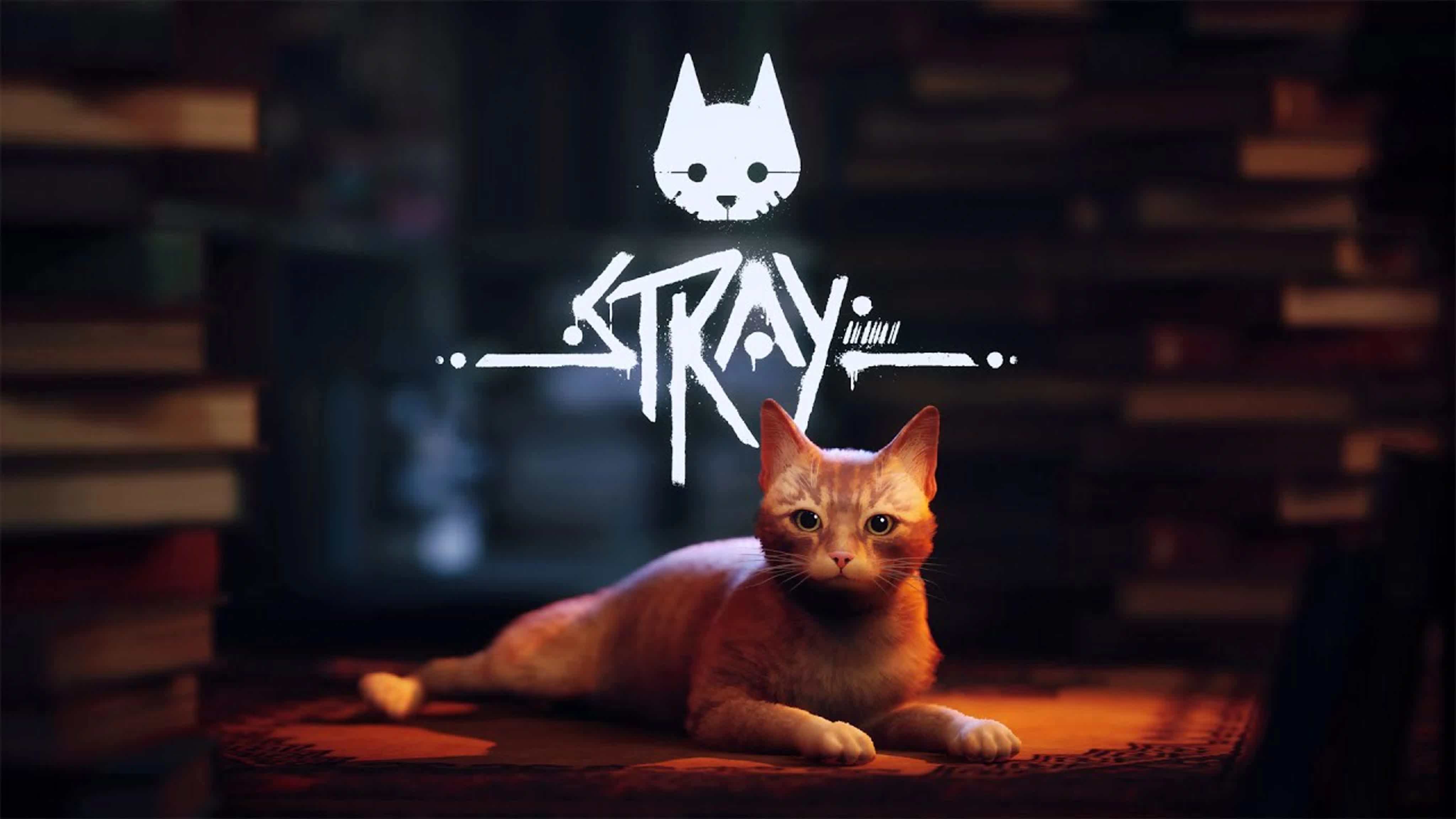 Stray для XBOX