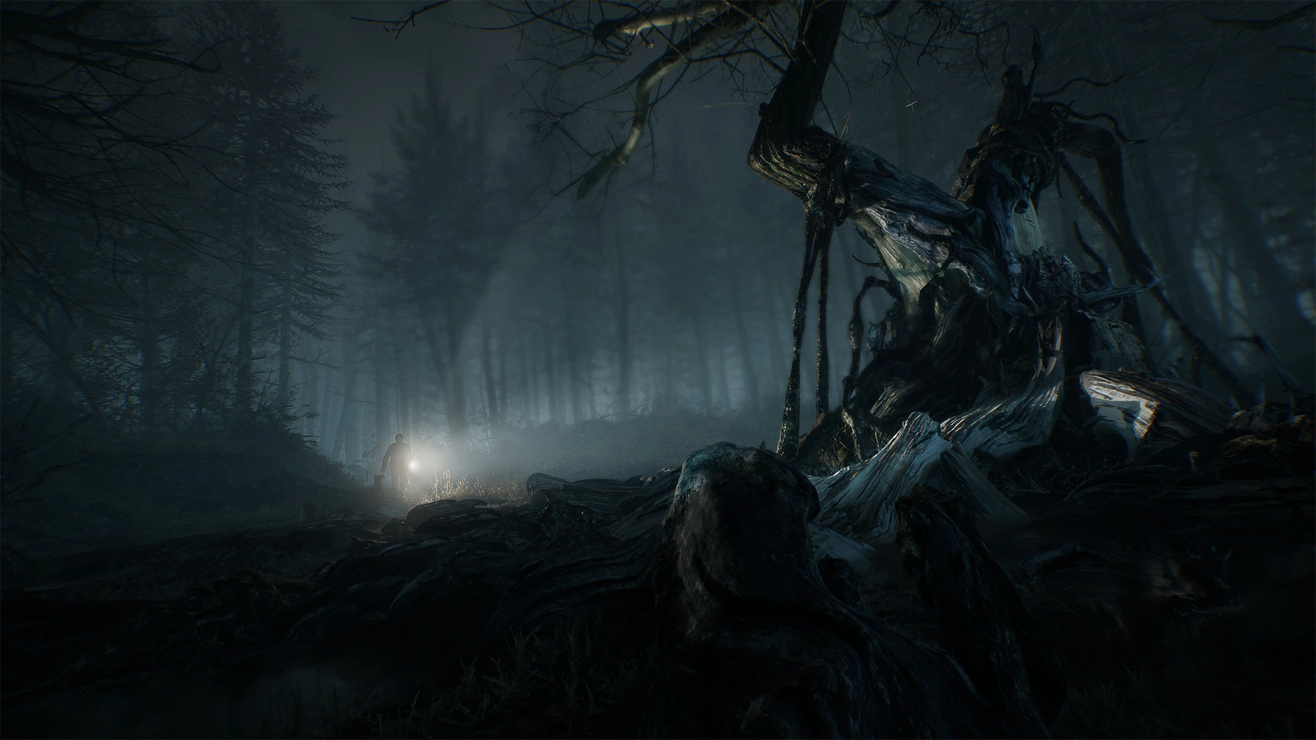 Скриншот-6 из игры Blair Witch