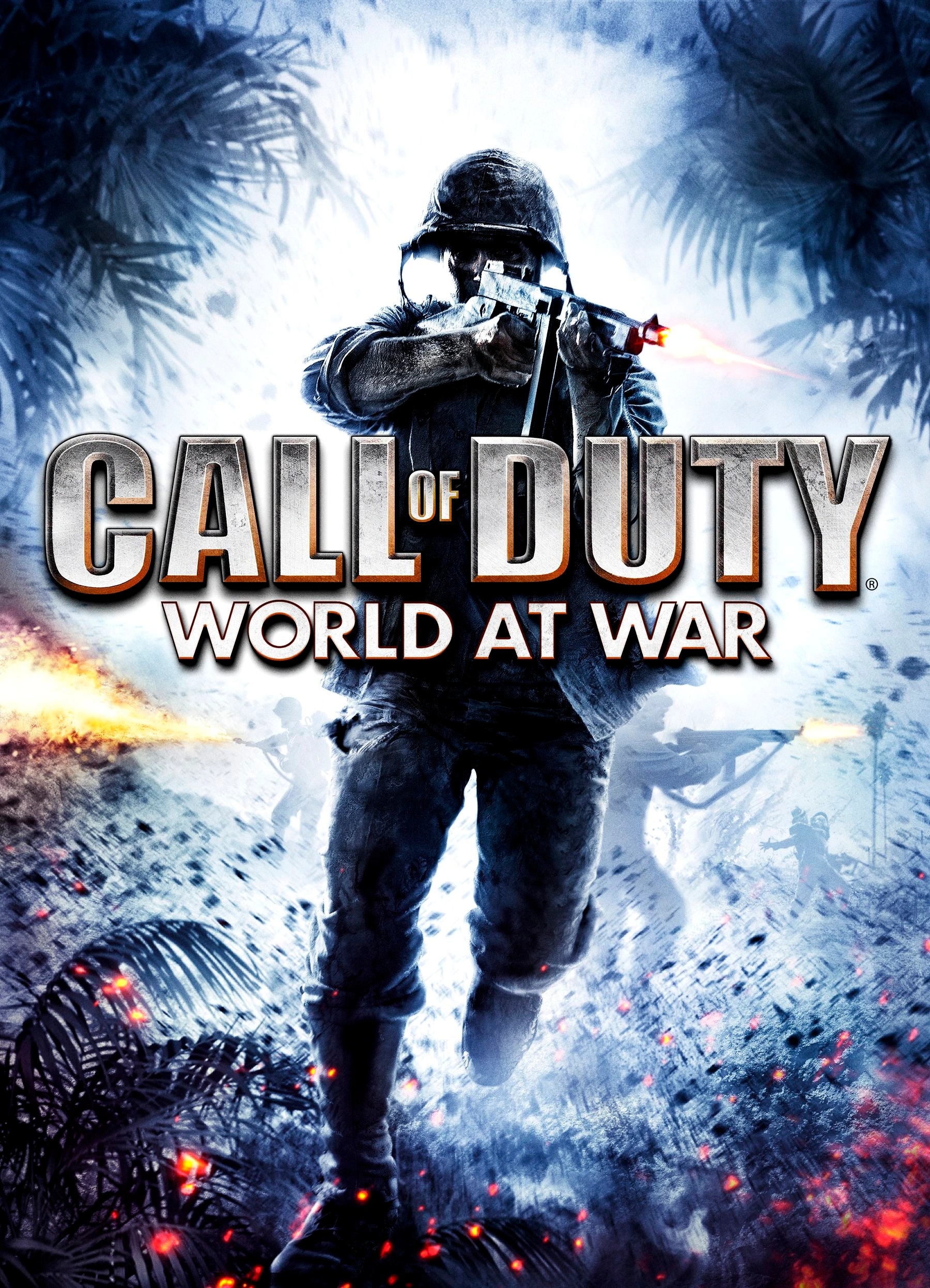 Call of duty world at war