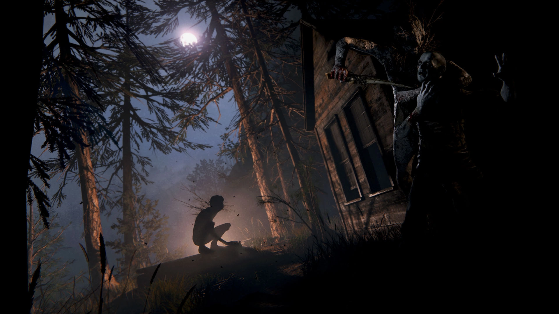 Скриншот-15 из игры Outlast 2