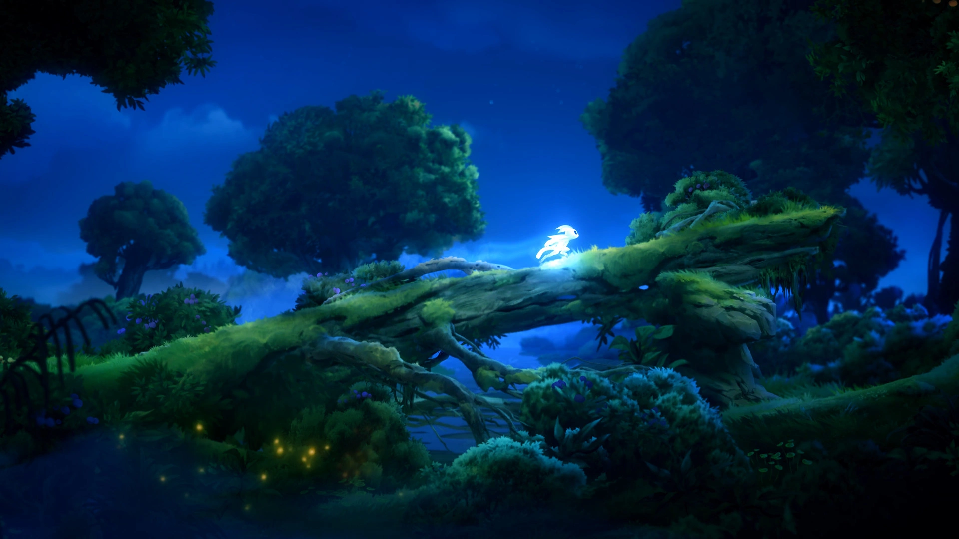 Скриншот-4 из игры Ori and the Will of the Wisps для ХВОХ