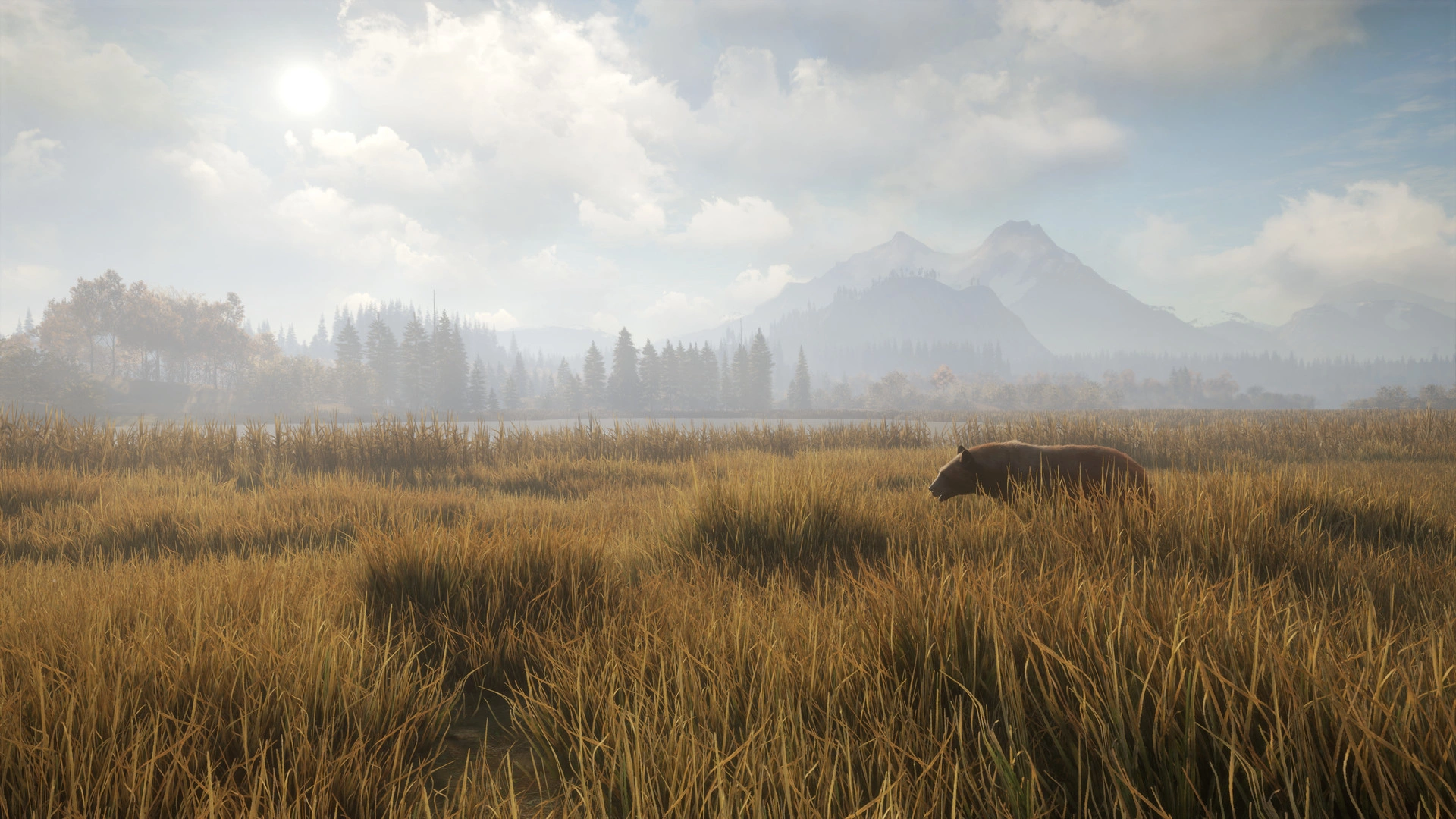 Скриншот-0 из игры theHunter: Call of the Wild