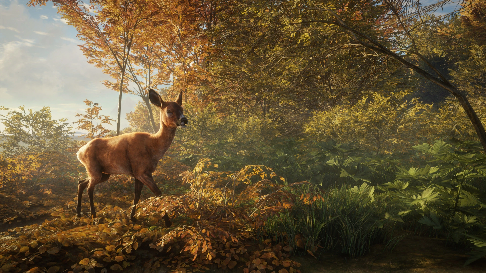 Скриншот-22 из игры theHunter: Call of the Wild - Trophy Lodge Spring Creek Manor для XBOX