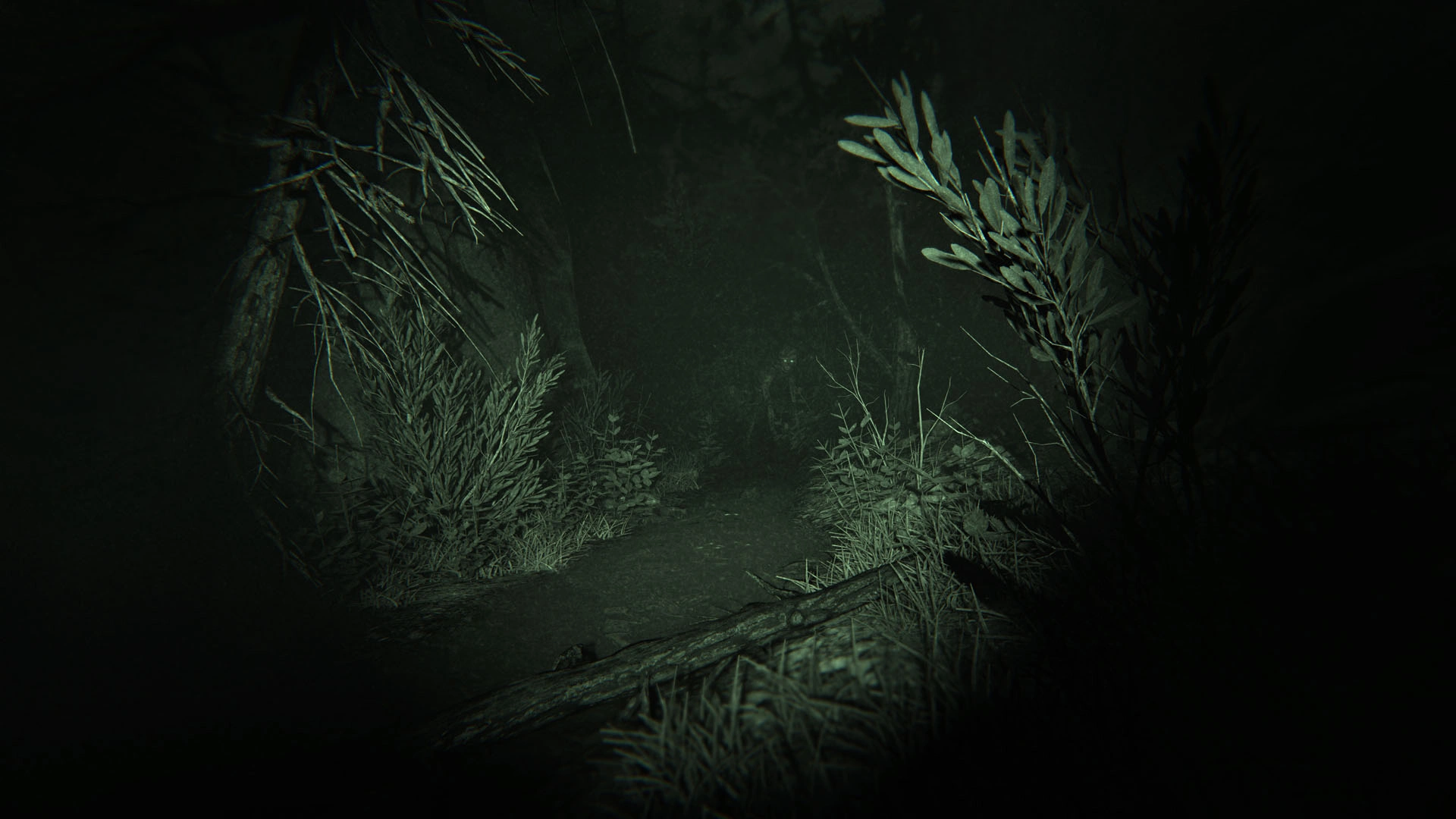 Скриншот-5 из игры Outlast 2