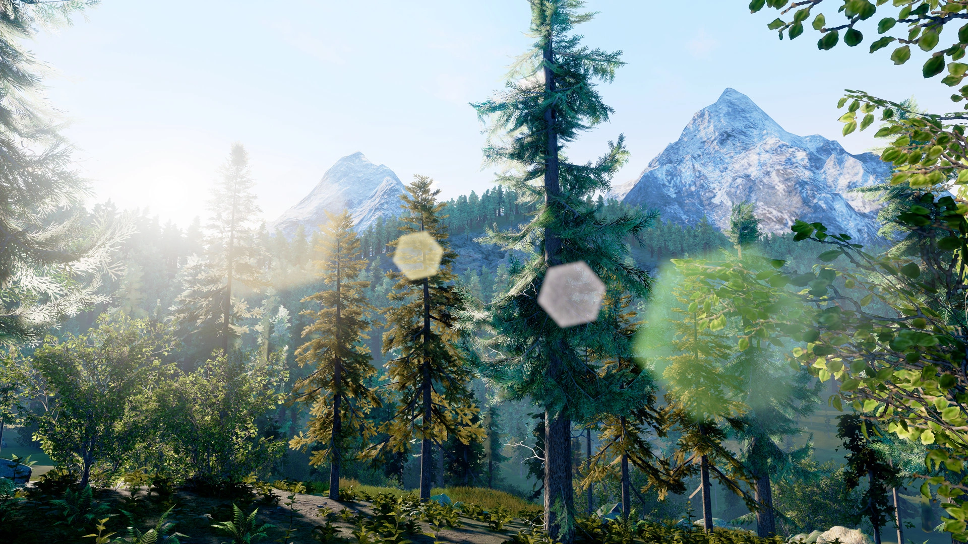 Скриншот-0 из игры Hunting Simulator