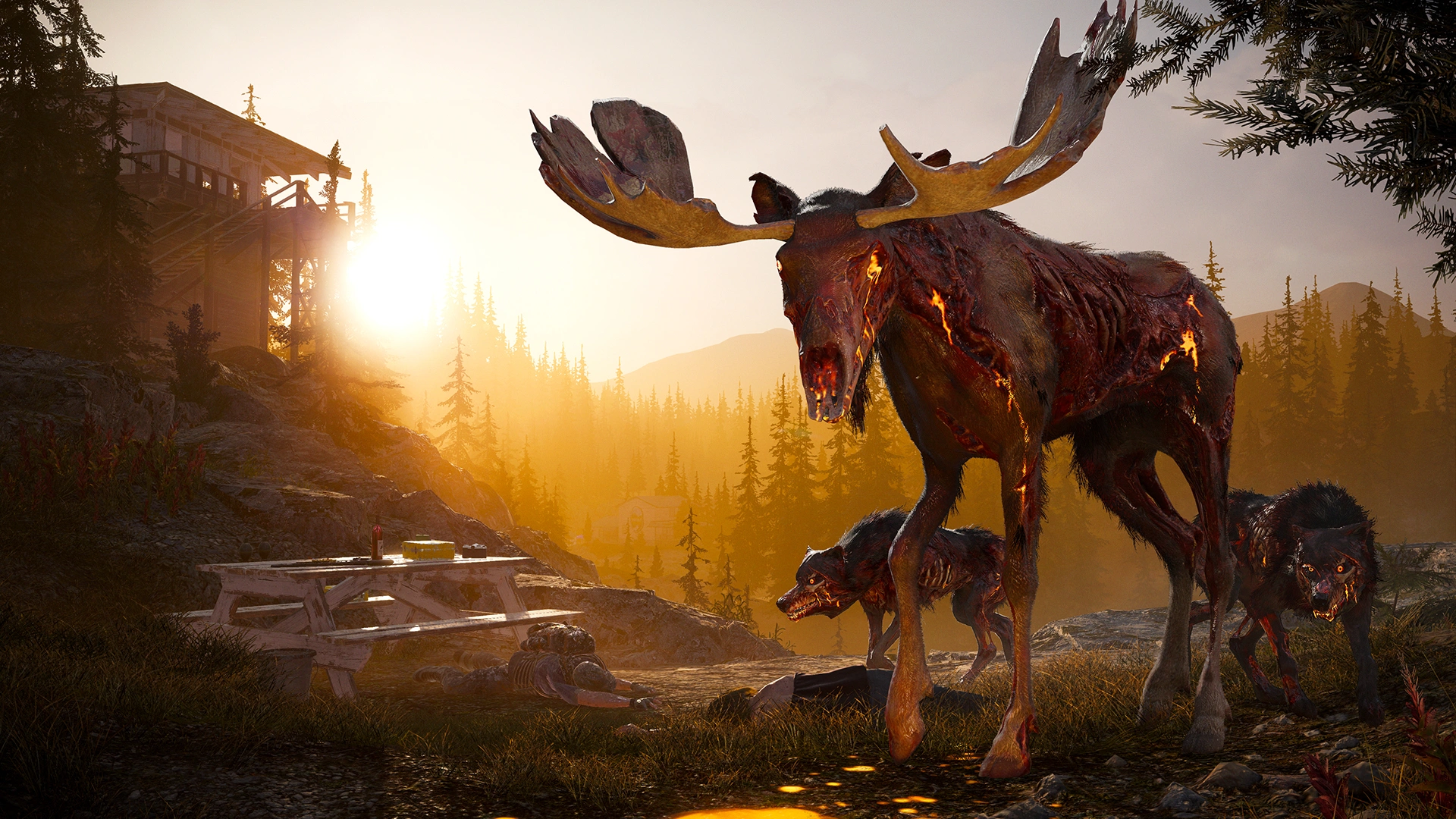 Скриншот-15 из игры Far Cry 5 - Gold Edition для XBOX