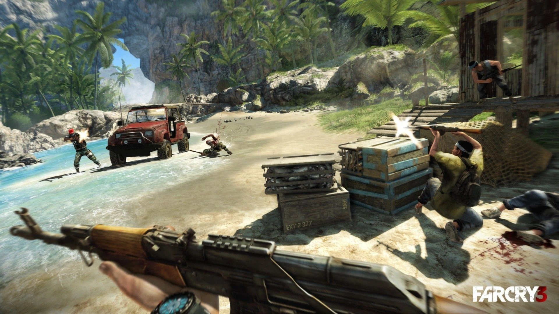 Скриншот-10 из игры Far Cry 3 для XBOX