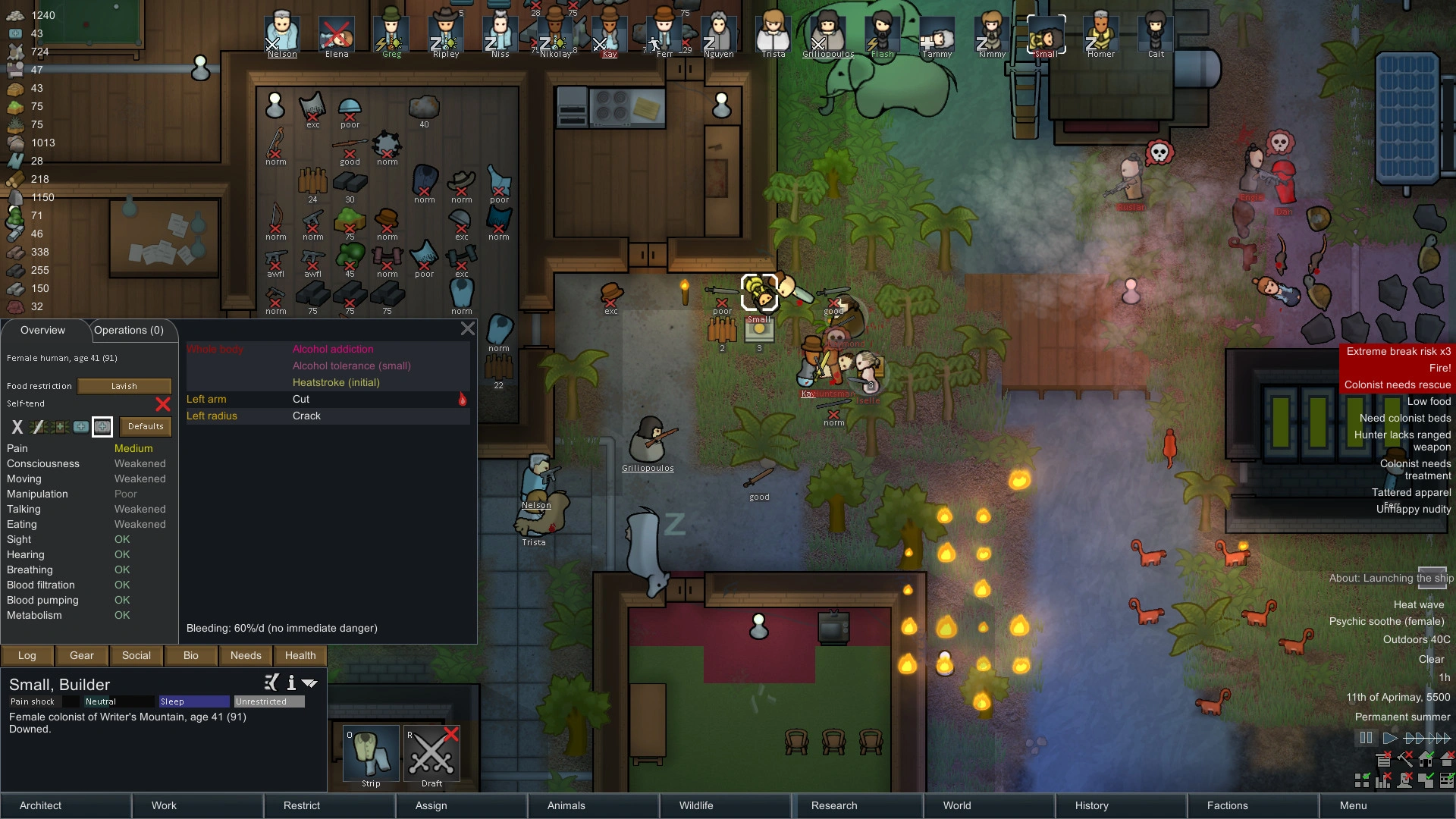 Скриншот-23 из игры RimWorld для ХВОХ