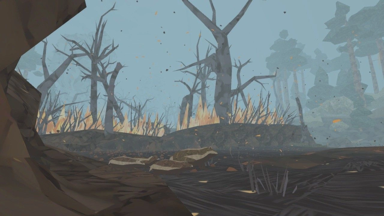 Shelter Shelter