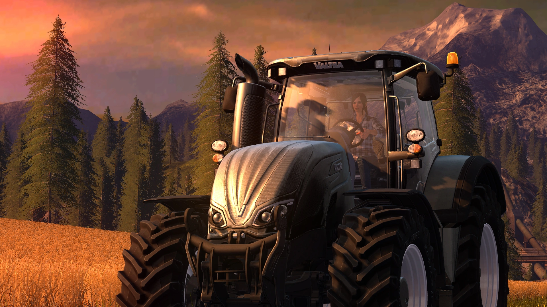 Скриншот-5 из игры Farming Simulator 17