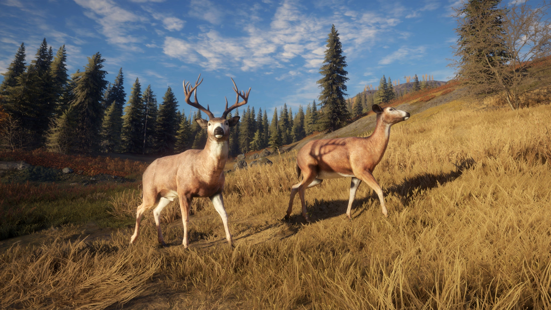 Скриншот-20 из игры theHunter: Call of the Wild - Trophy Lodge Spring Creek Manor для XBOX