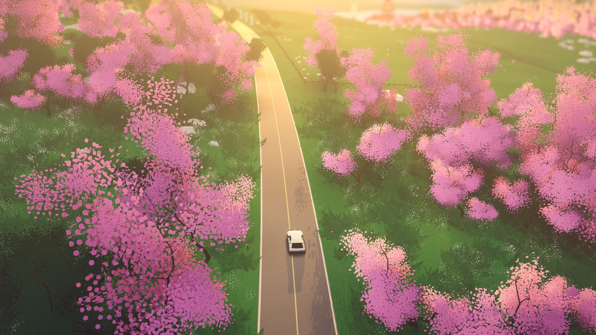Скриншот-5 из игры art of rally для XBOX
