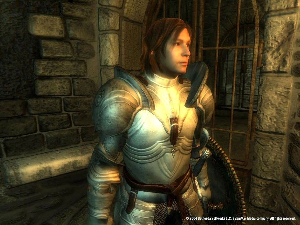 Скриншот-7 из игры The Elder Scrolls IV: Oblivion Game of the Year Edition — Deluxe