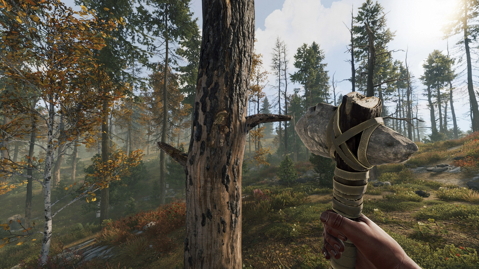 Скриншот-24 из игры Rust
