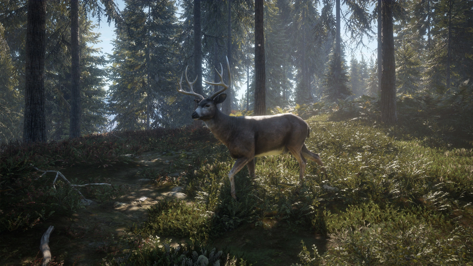 Скриншот-10 из игры theHunter: Call of the Wild