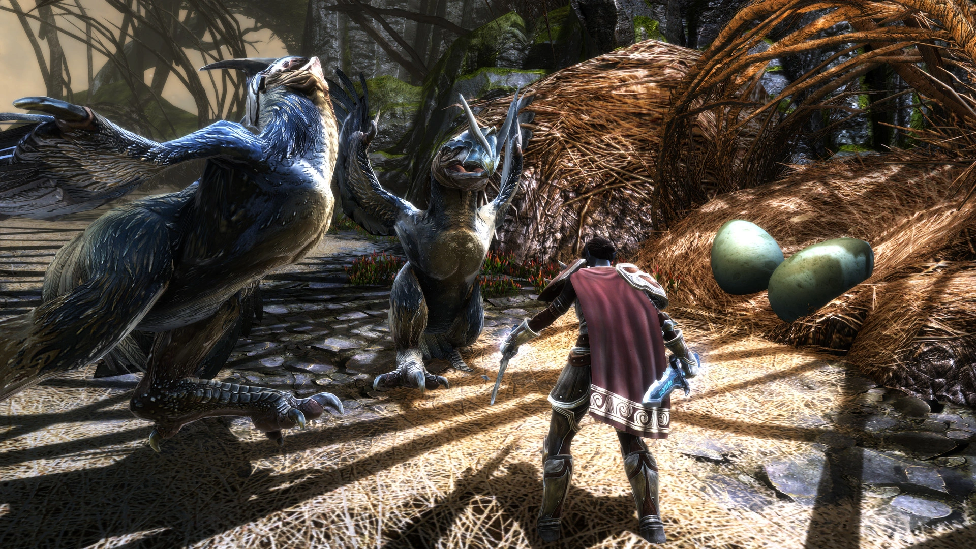 Скриншот-1 из игры Kingdoms of Amalur: Re-Reckoning