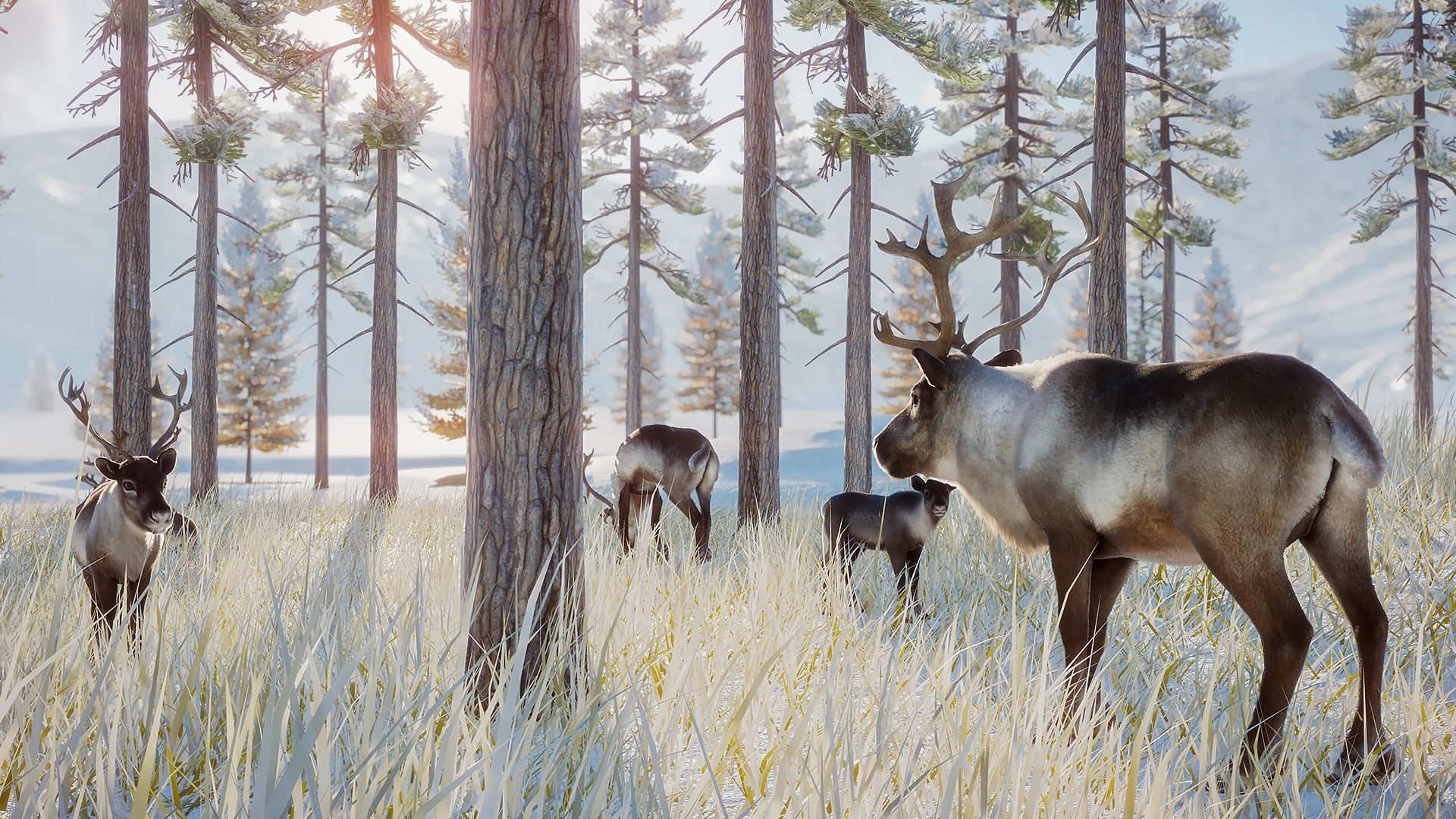 Скриншот-5 из игры Planet Zoo: Arctic Pack